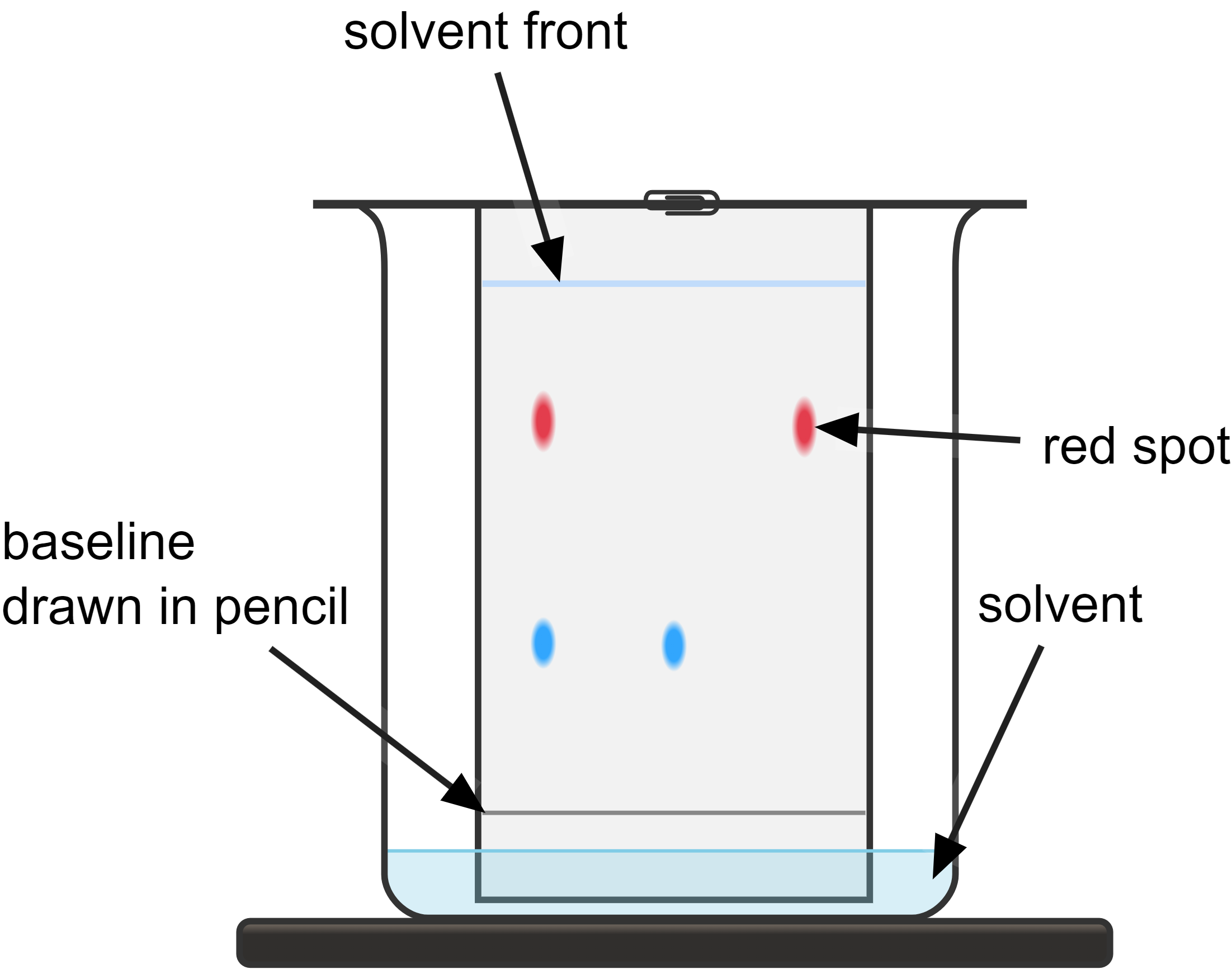 labelled diagram of resulting chromatogram