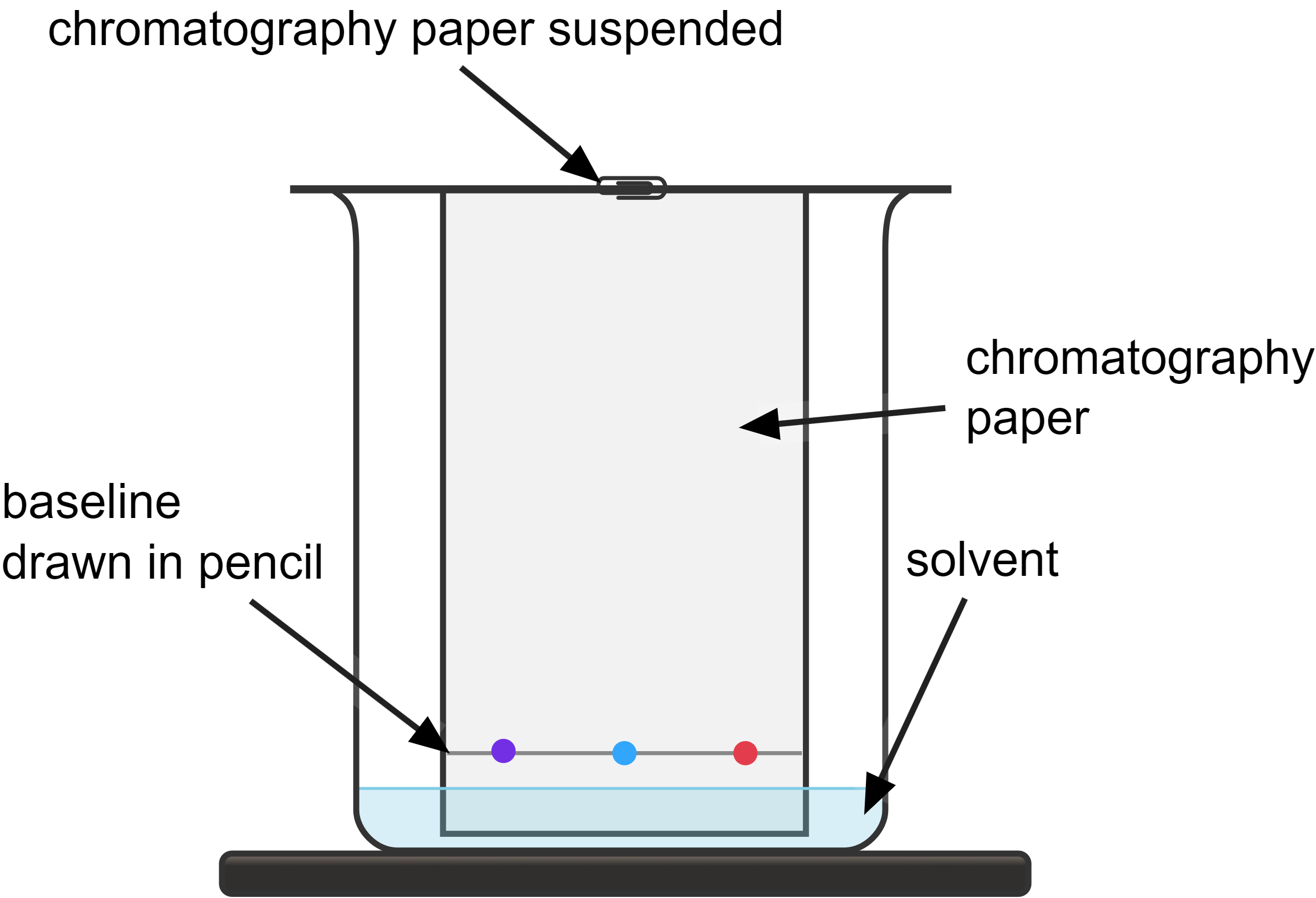 labelled diagram of paper chromatography