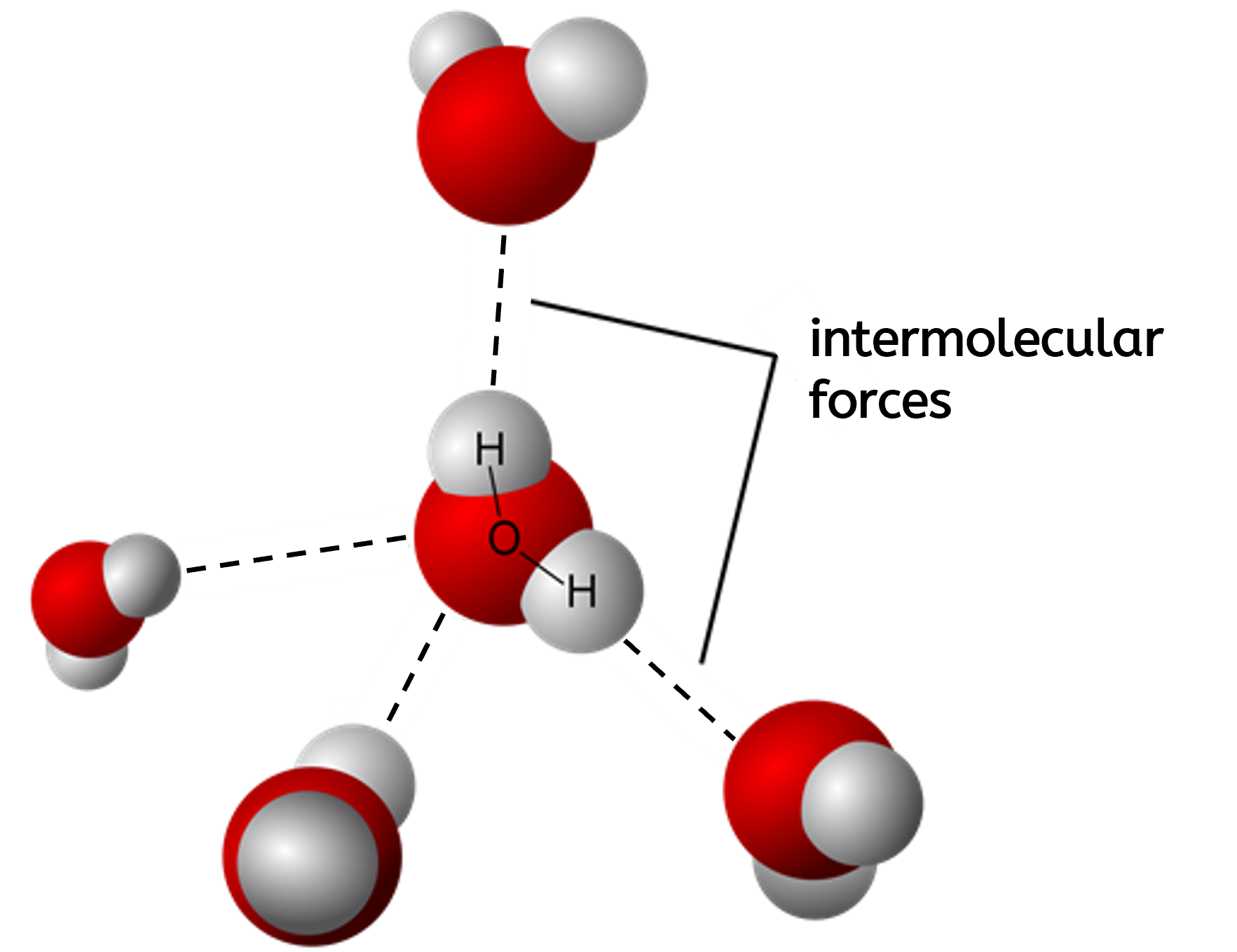 Intermolecular forces between water molecules