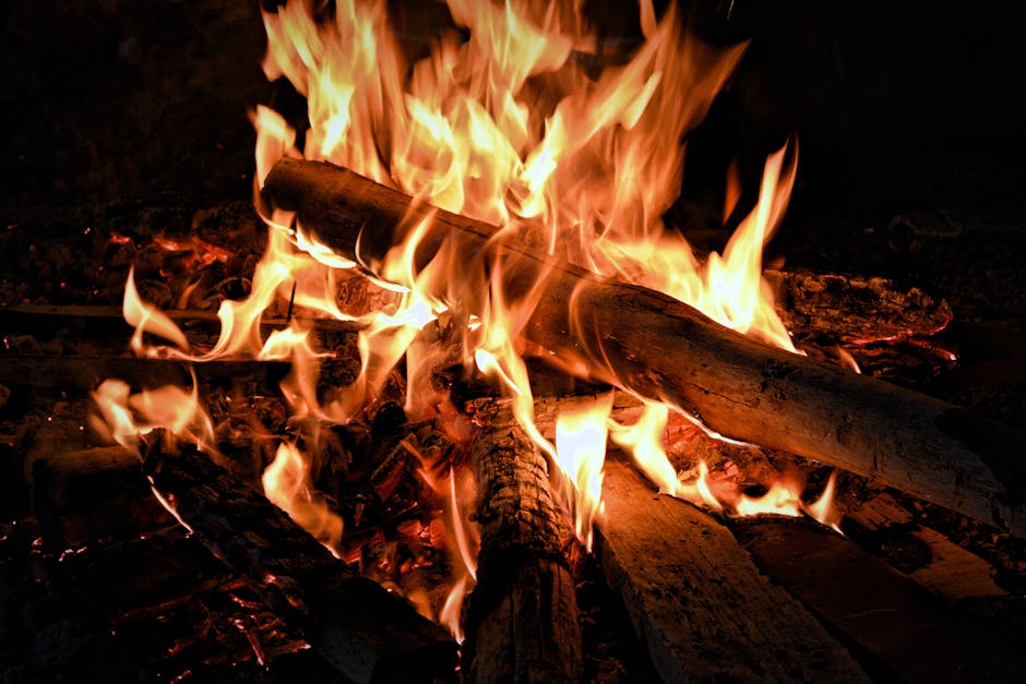 a campfire burning