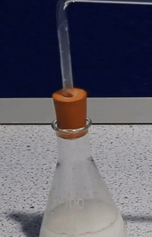 a photograph of a bung in the top of a conical flask